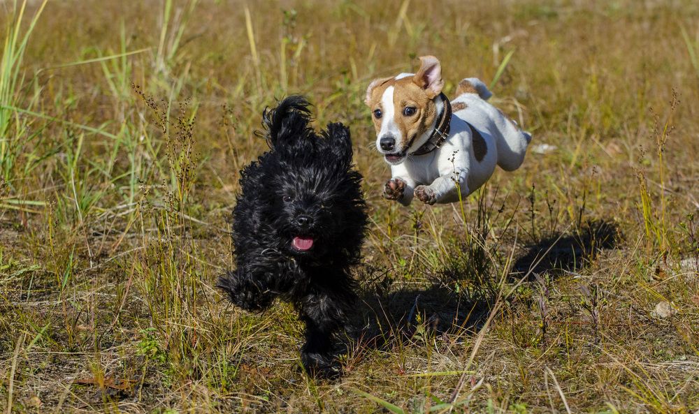 Лови момент !