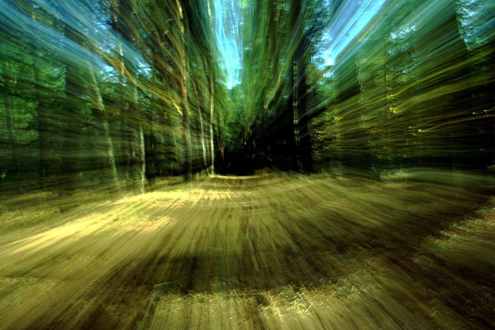 Photograph by Maks315519