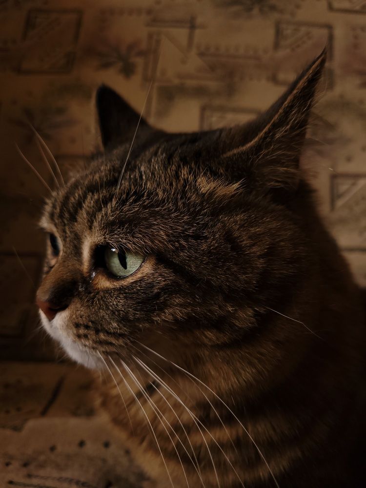 Photograph by Екатерина