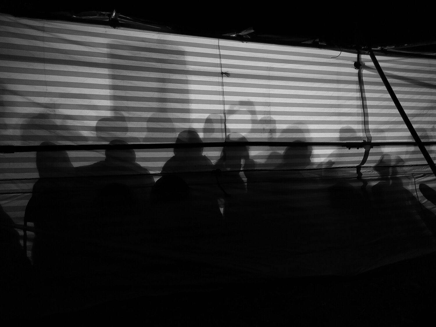 Photo #8996796