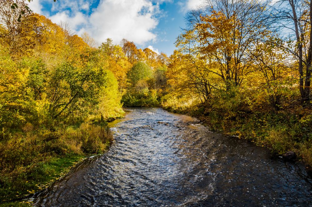 Photograph by Игорь Сидун