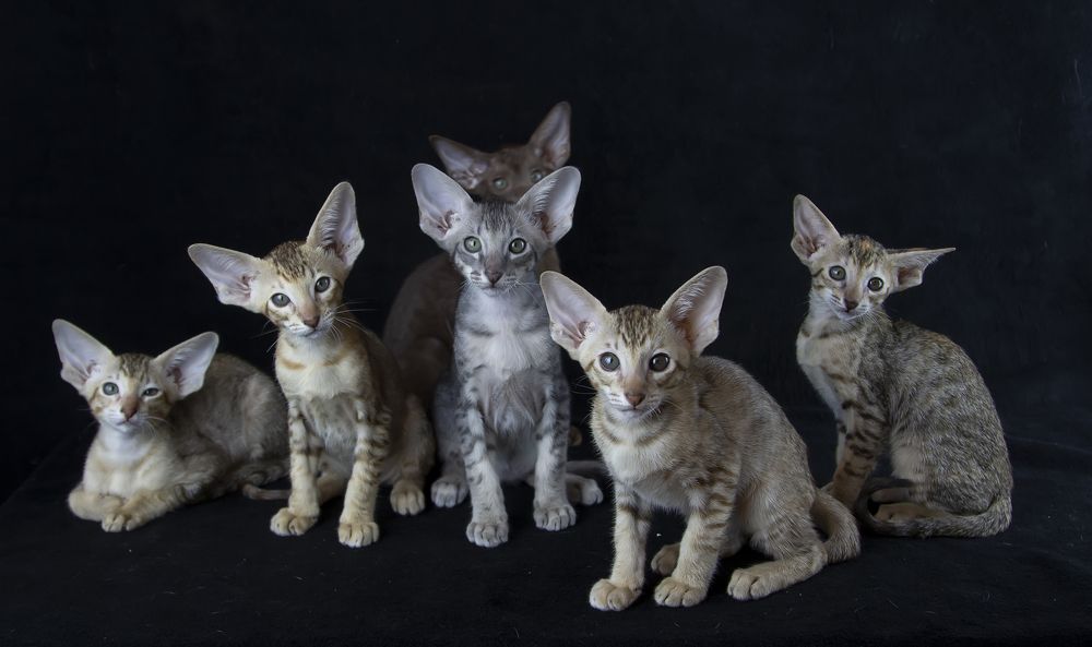 Photograph by Феденкова Татьяна