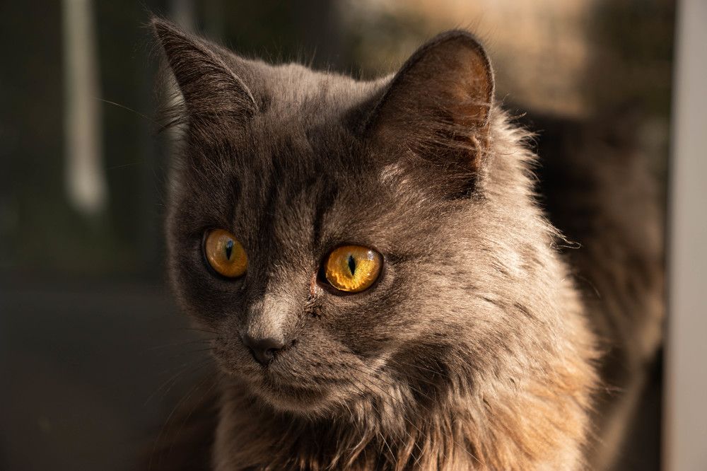 Photograph by Регина Кабанова