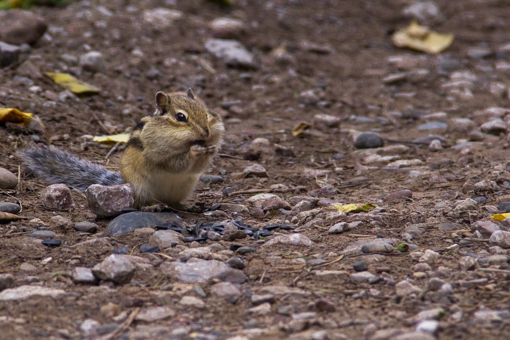 Photograph by Ирина Рыжова