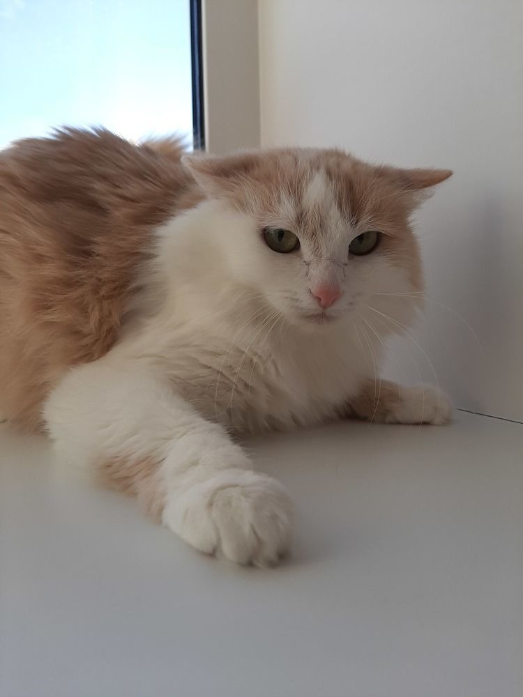 Photograph by Марина Слепова