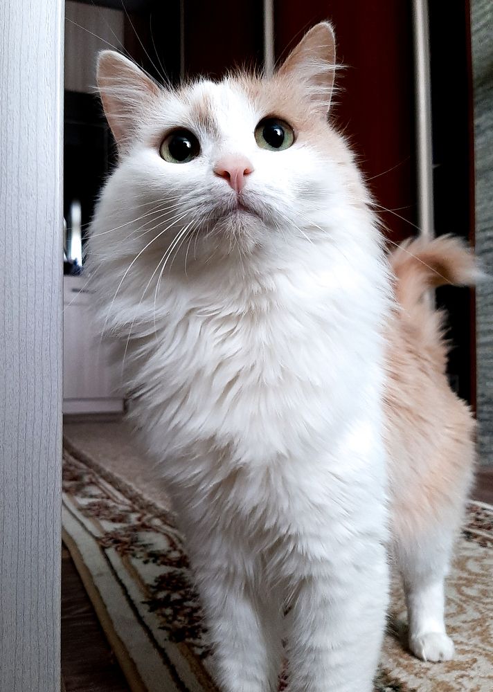 Photograph by Марина Слепова