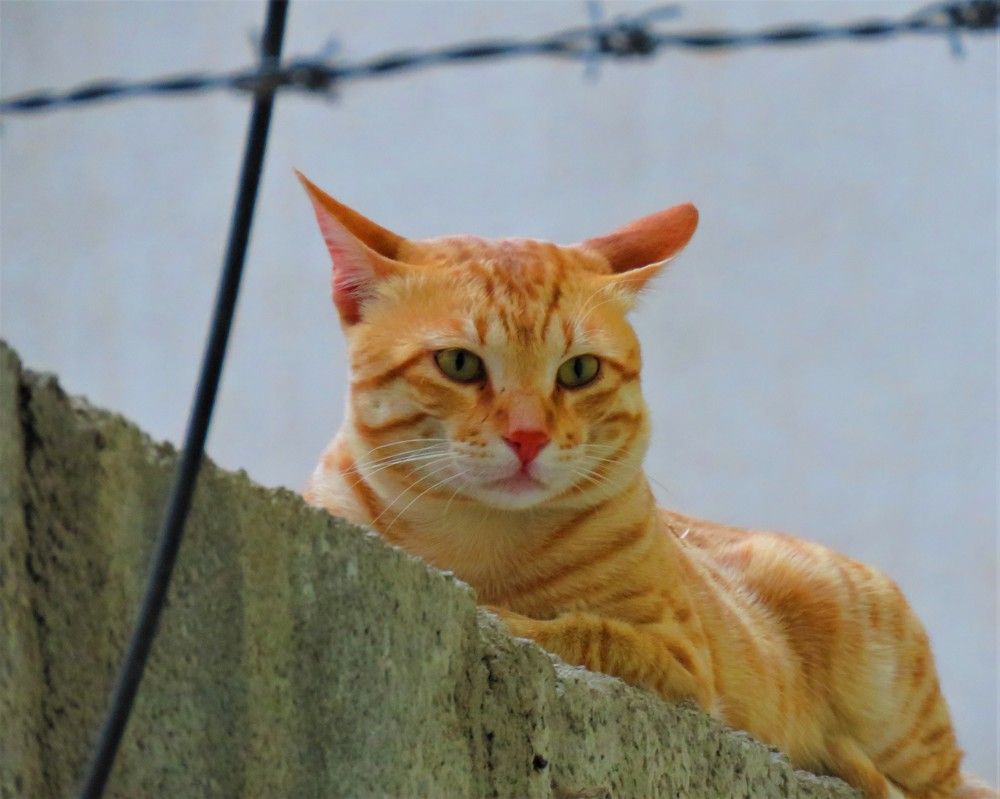 Photograph by ANISH BISWAS