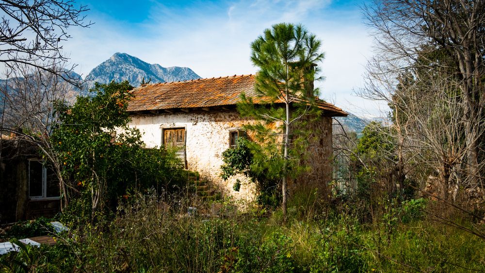 Photograph by Alp Aysgl