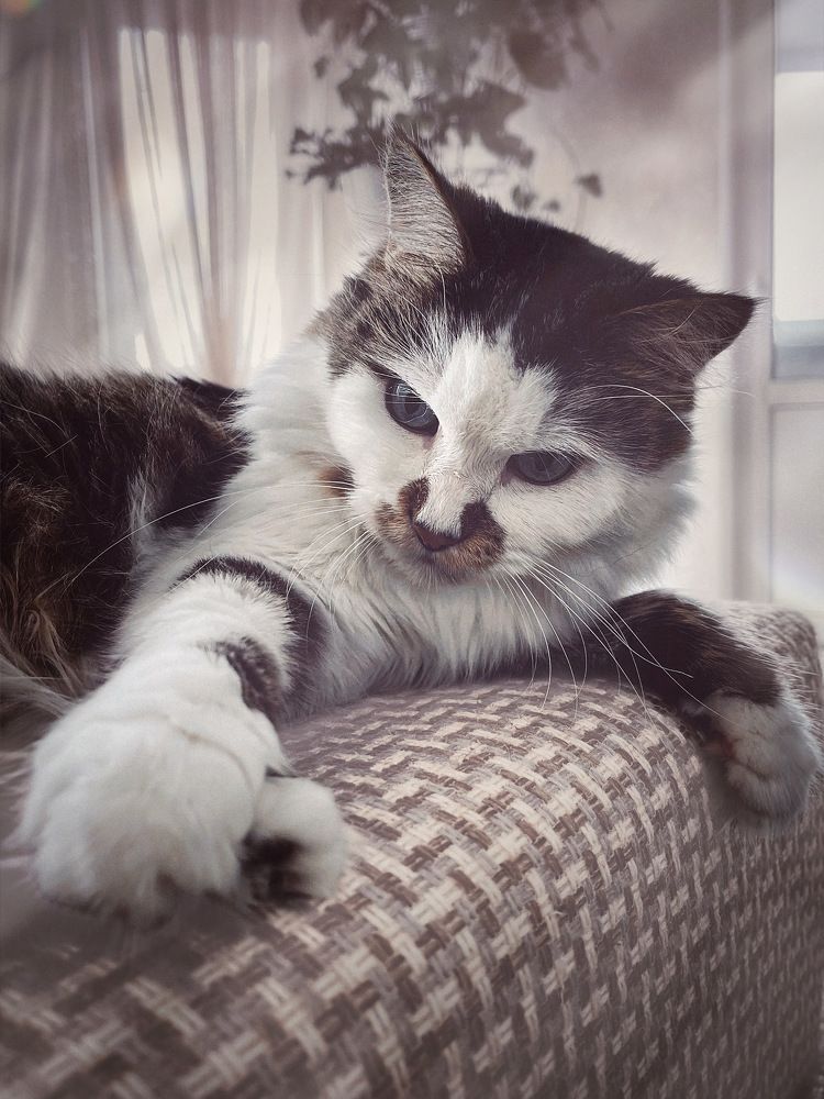 Photograph by Виктория Селютина