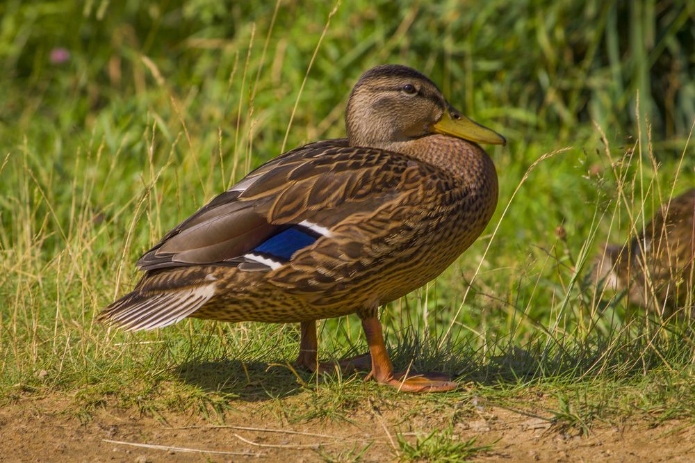 Photograph by Вячеслав Булатов