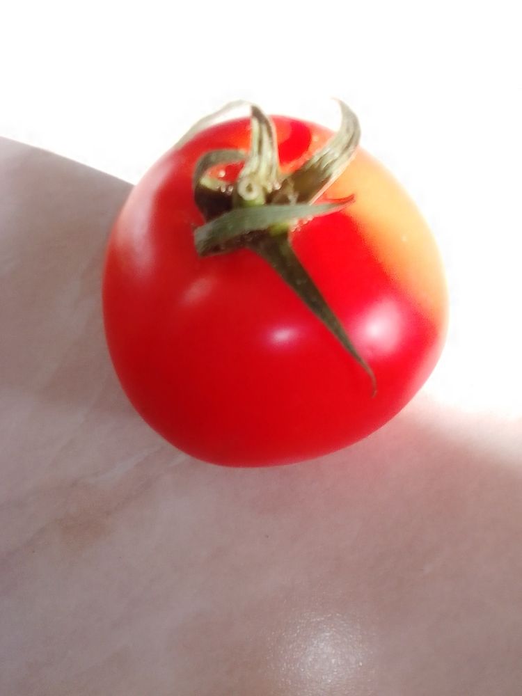 Photograph by Irina Mihailovskaya