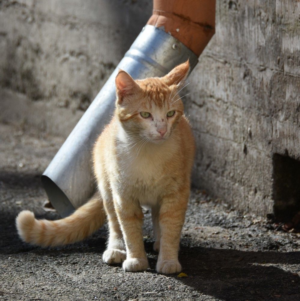 Photograph by Надежда Буаллаг