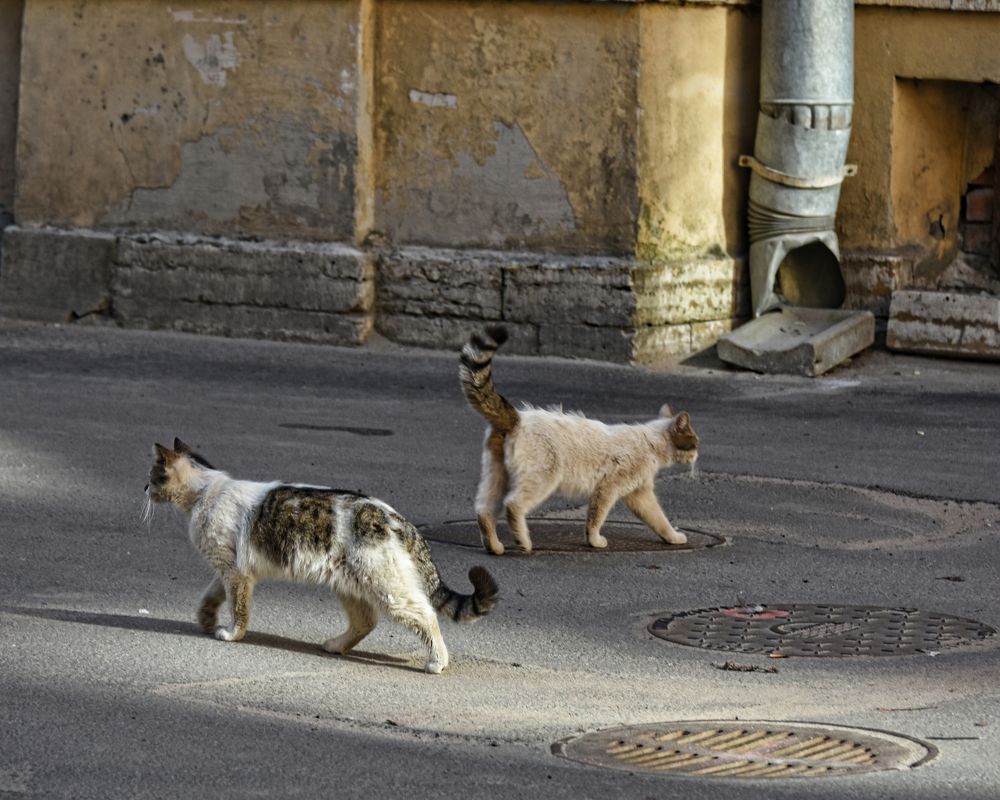 Photograph by Надежда Буаллаг