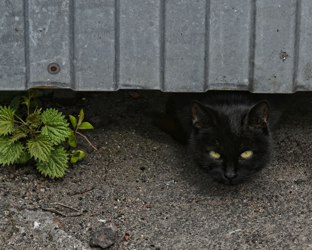 Photograph by Надежда Буаллаг