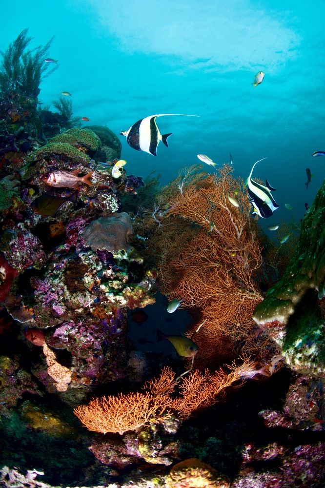 Фотография автора Андрей Крапивной