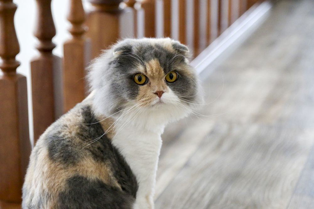 С претензией, на обслуживание! ?