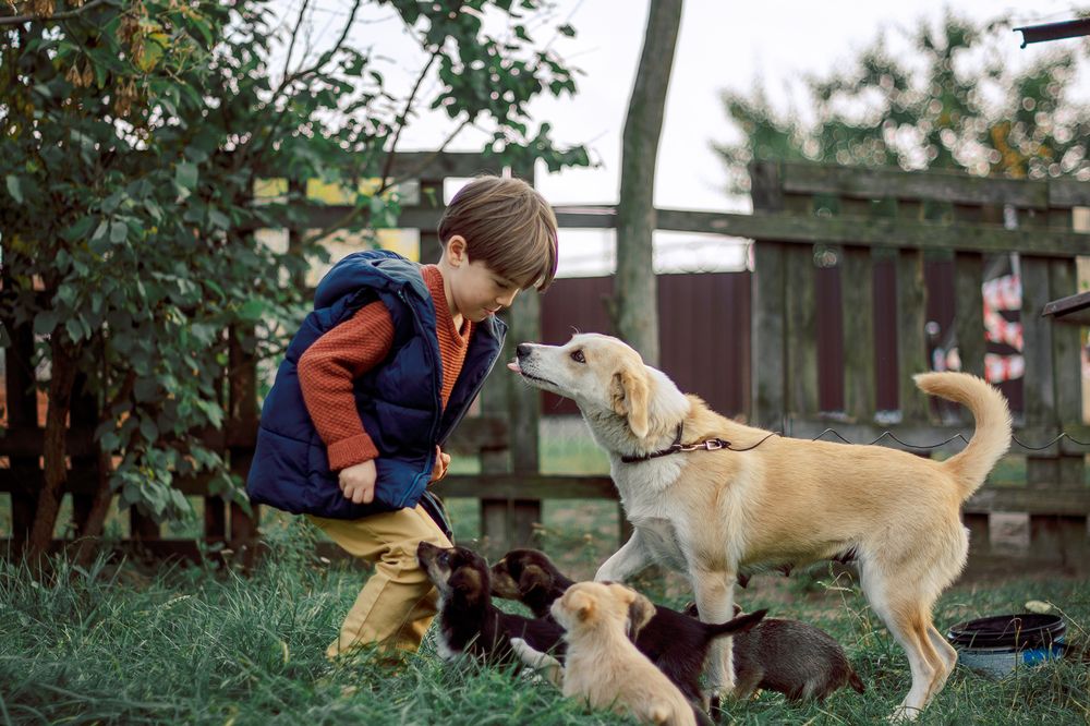 Фотография автора Elena Ilnitskaya