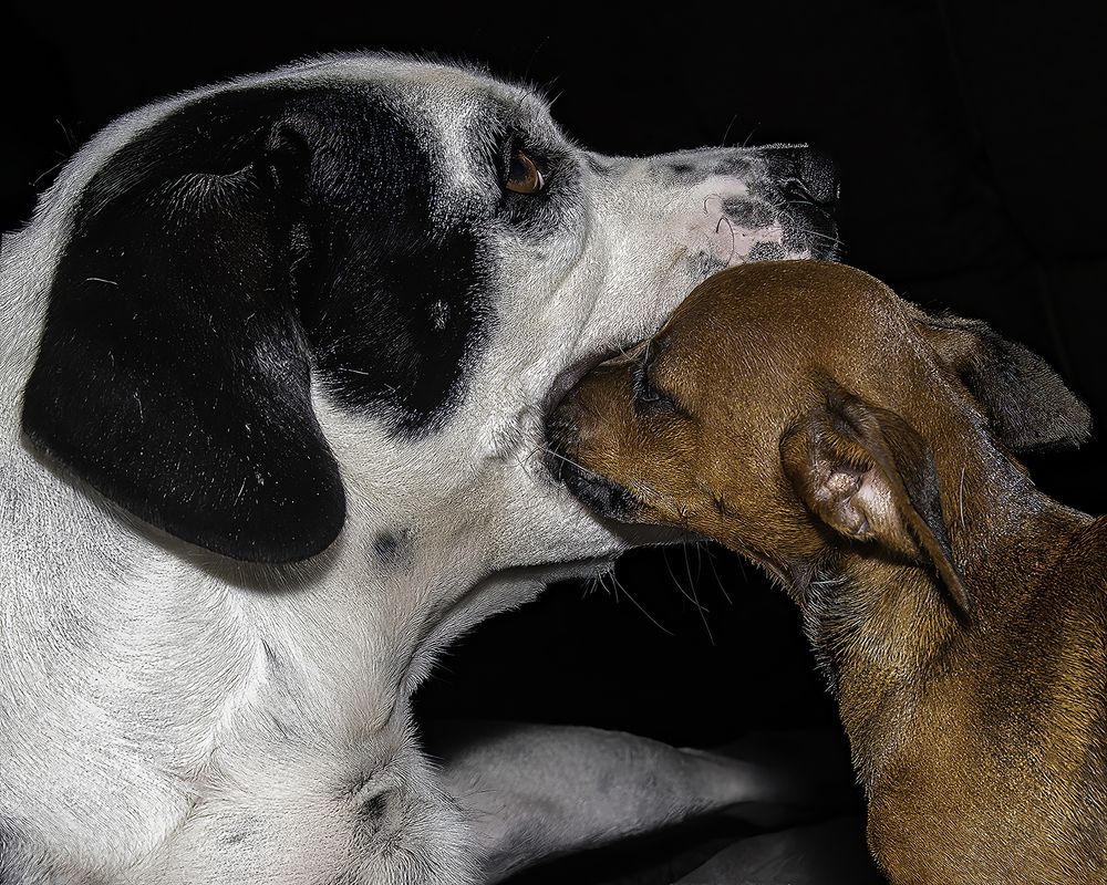 Фотография автора Raymond Asiala