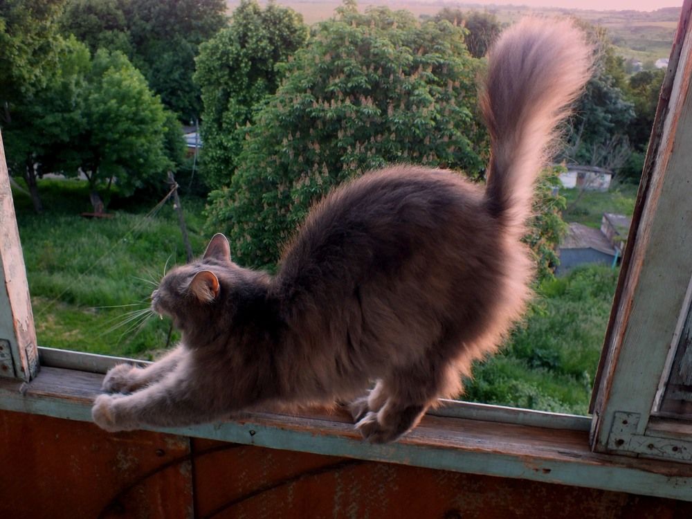 Photograph by Дмитрий Крылов