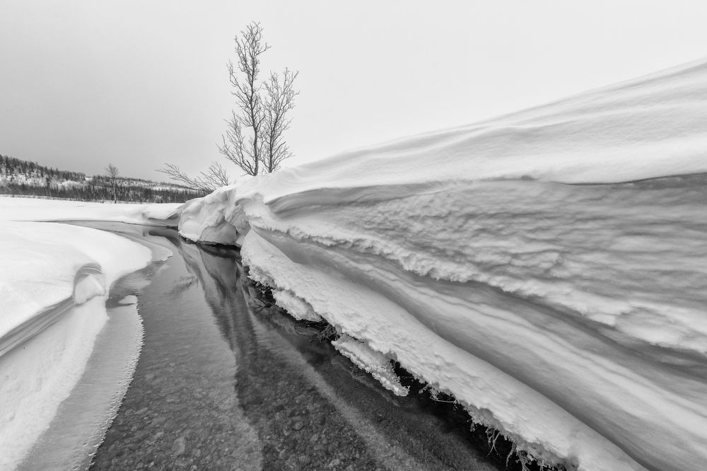 Фотография автора Илья Большаков