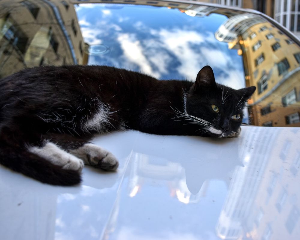 Фотография автора Татьяна Чугунова