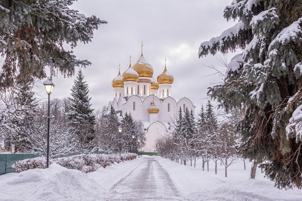 Фотография автора Илья Большаков