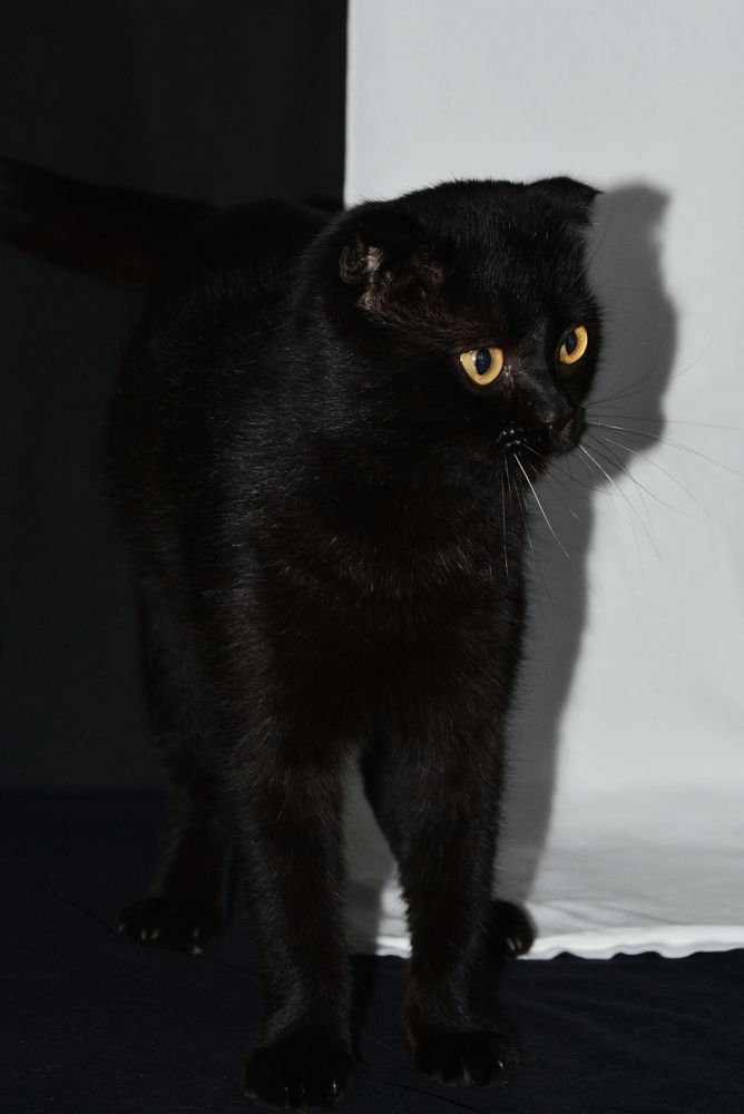 Photograph by Daria Kirina