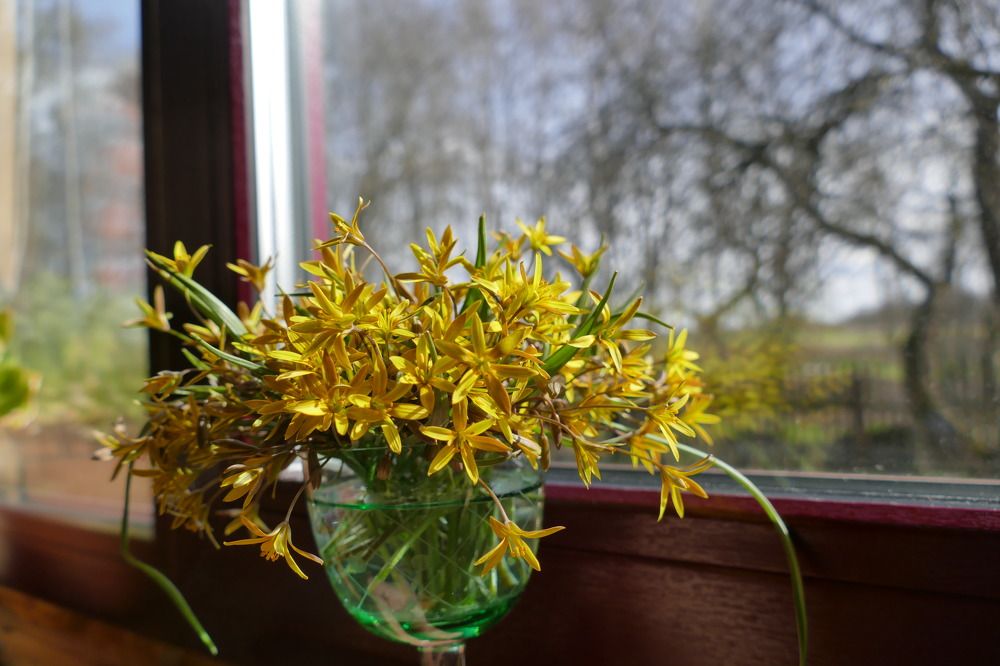 Photograph by Anastasia Perez