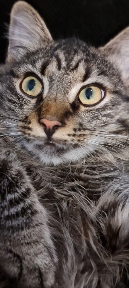 Photograph by Яна Фриц