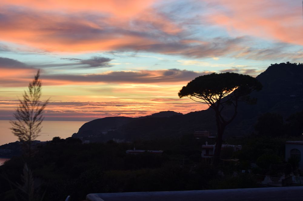 Photograph by Olena Lytvynenko