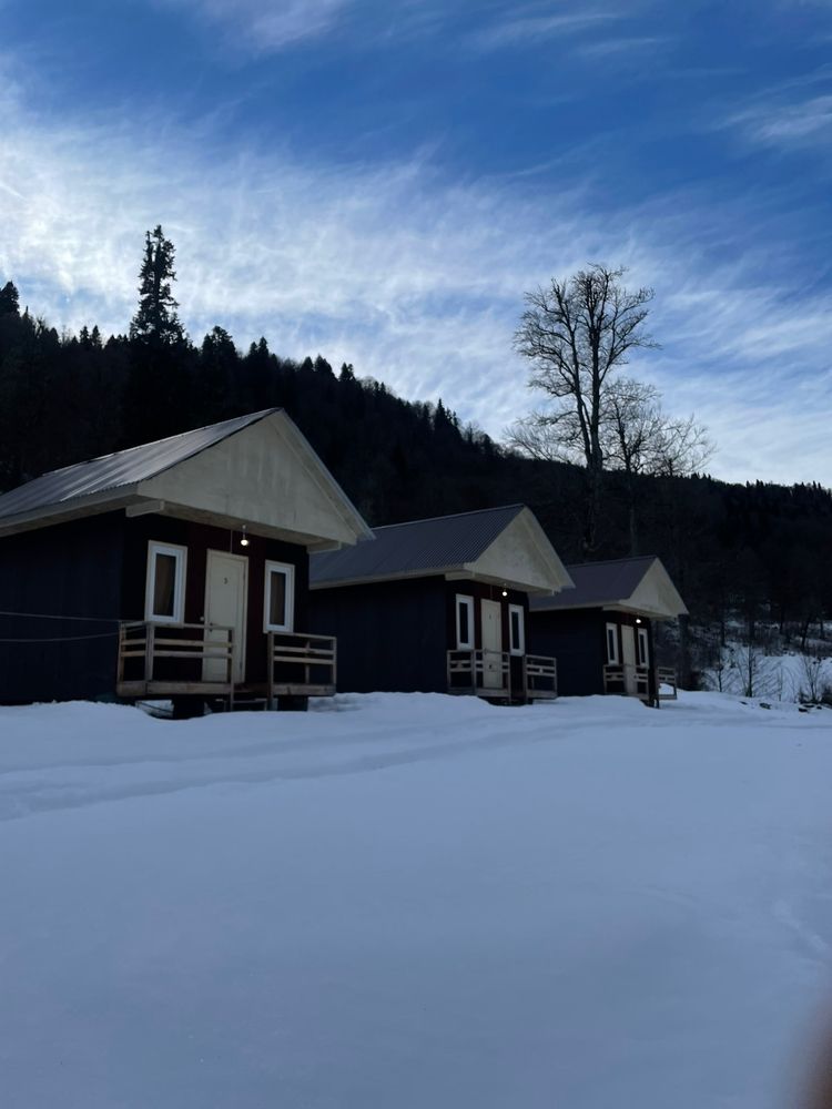 Photograph by Саманта Начкебия