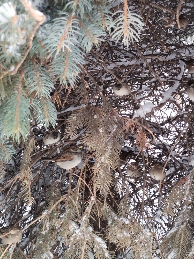 Photograph by Саманта Начкебия