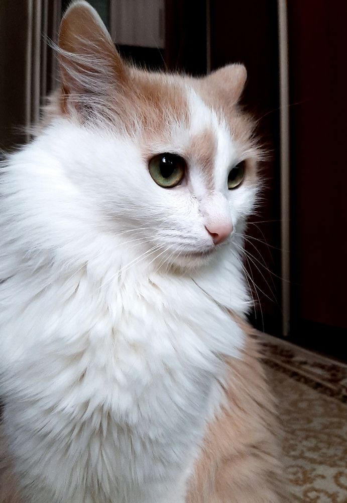 Photograph by Марина Слепова