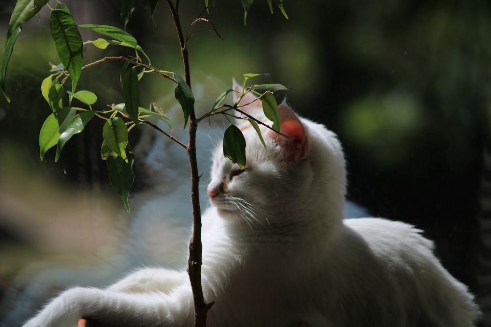 Фотография автора Никита Гутор