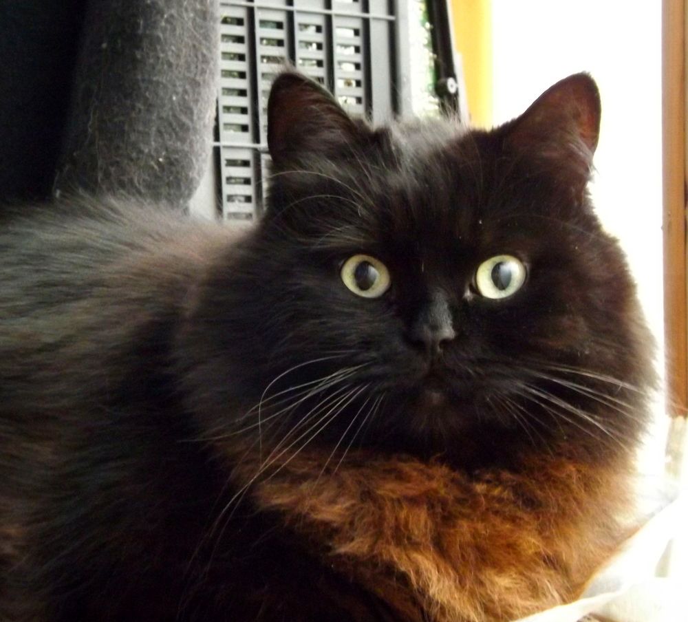 Photograph by Олександр Розум