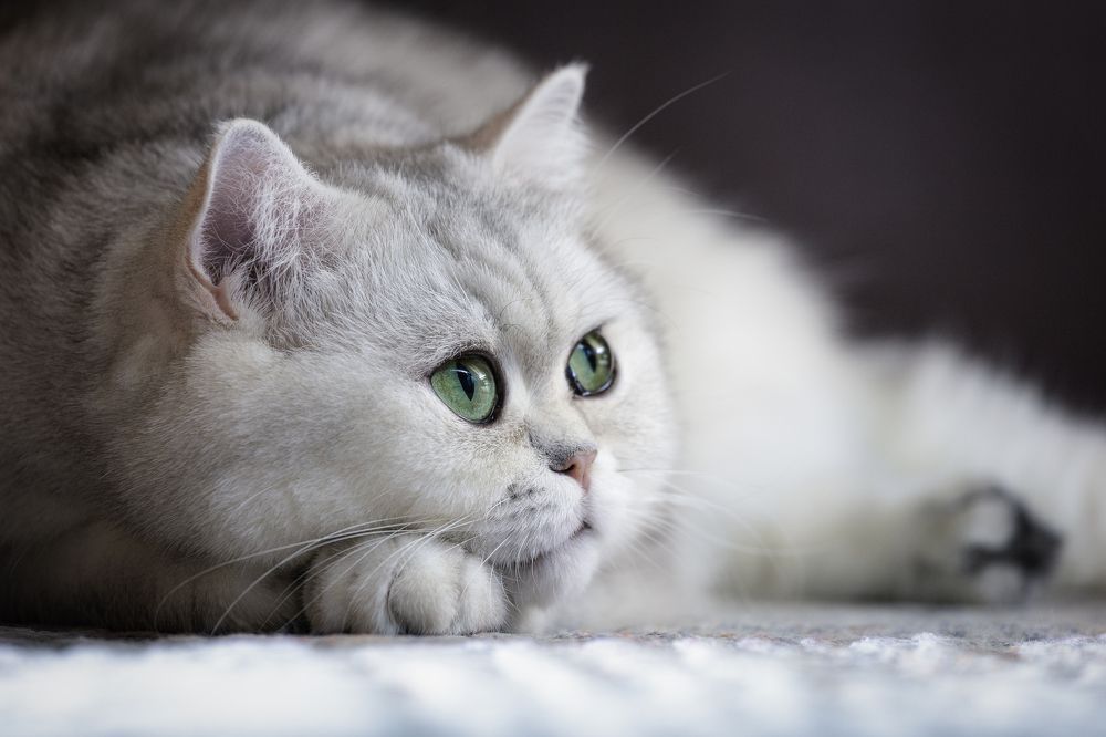 Photograph by Хрипушин Александр