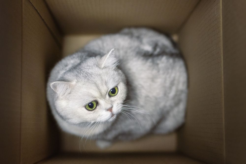 Фотография автора Хрипушин Александр