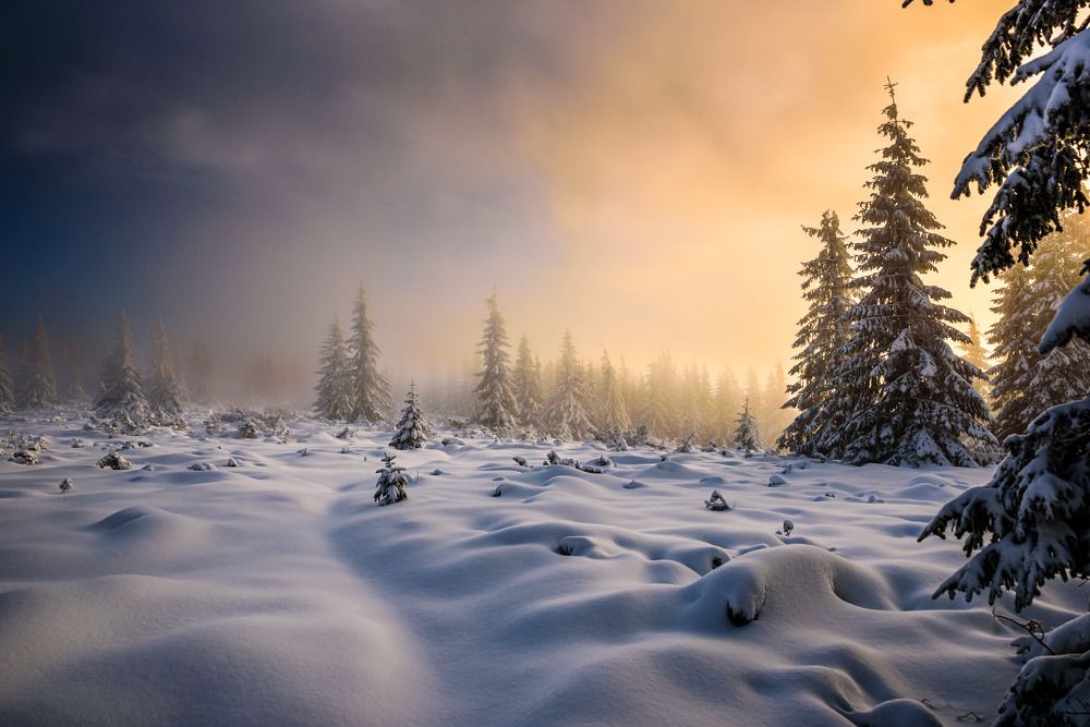 Photograph by levi bagy