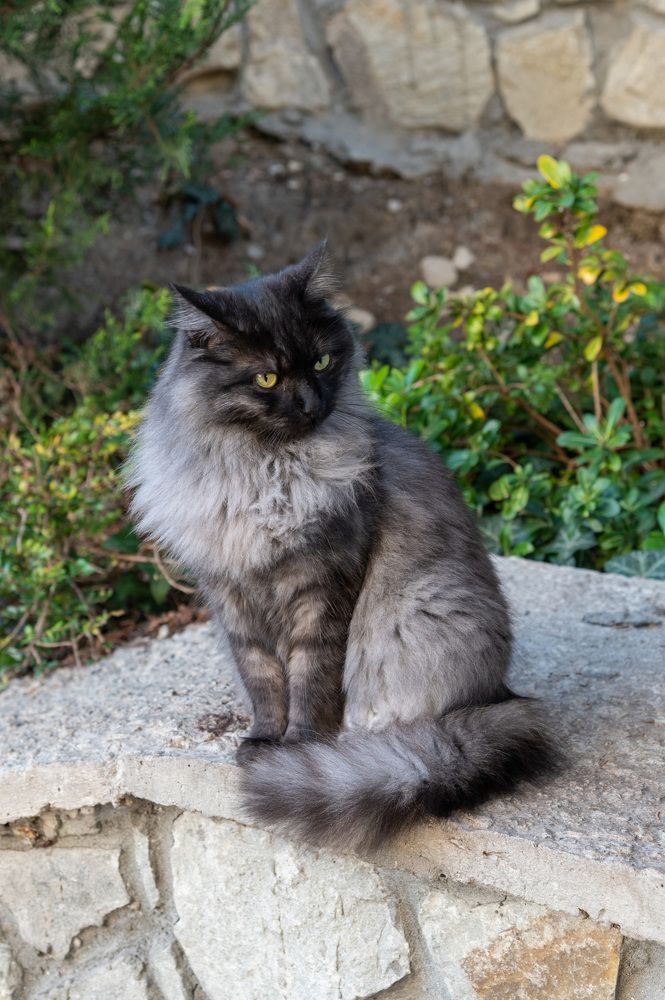 Photograph by Екатерина Крючкова