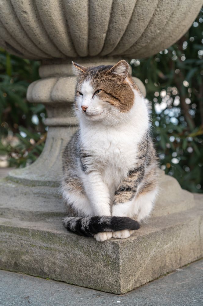 Photograph by Екатерина Крючкова