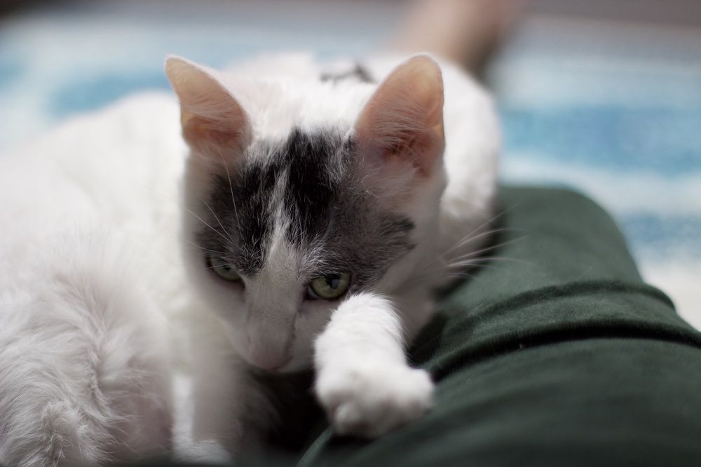 Photograph by Jorge Sastre