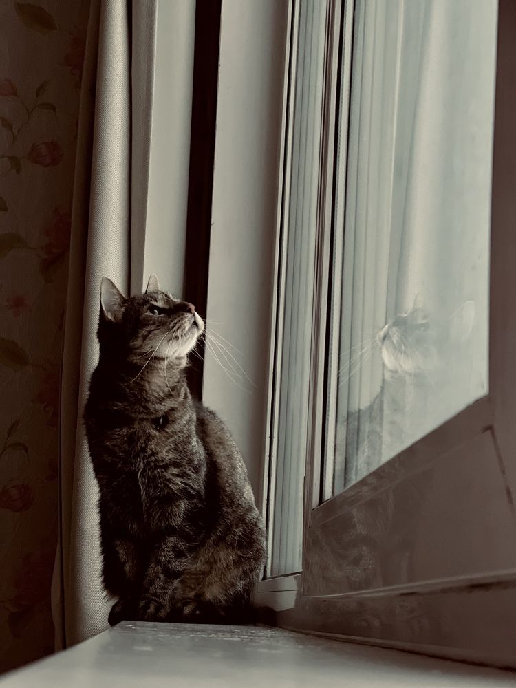 Photograph by Anna Ediger