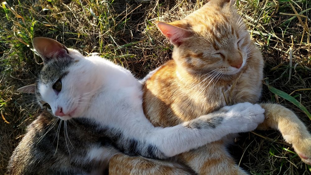 Photograph by Şeyhmus Çakırtaş