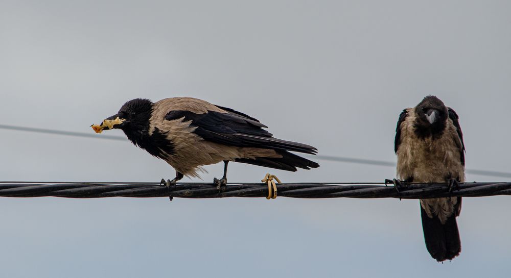 Photograph by Юрий Кизин