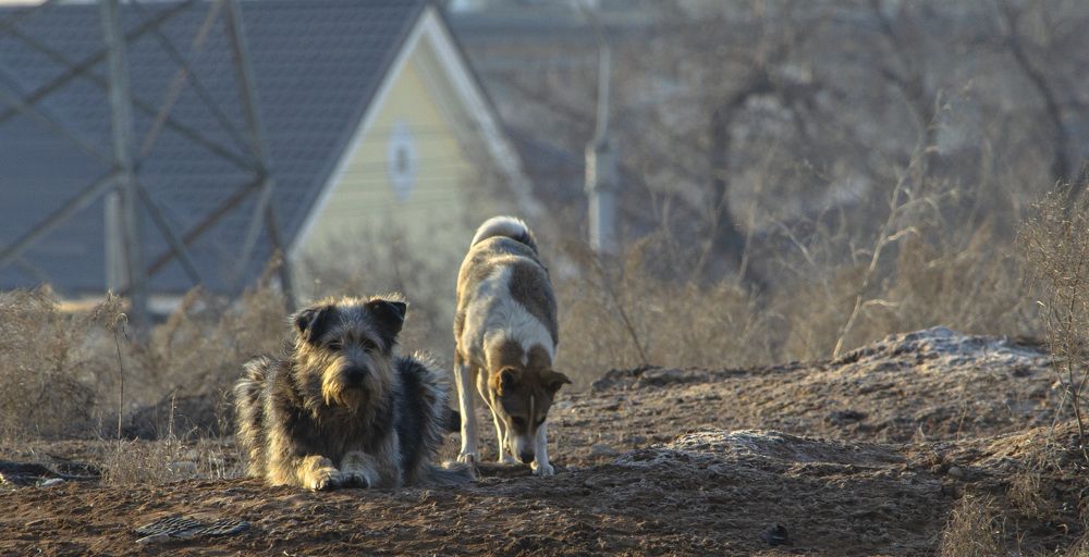 Photograph by Юрий Кизин