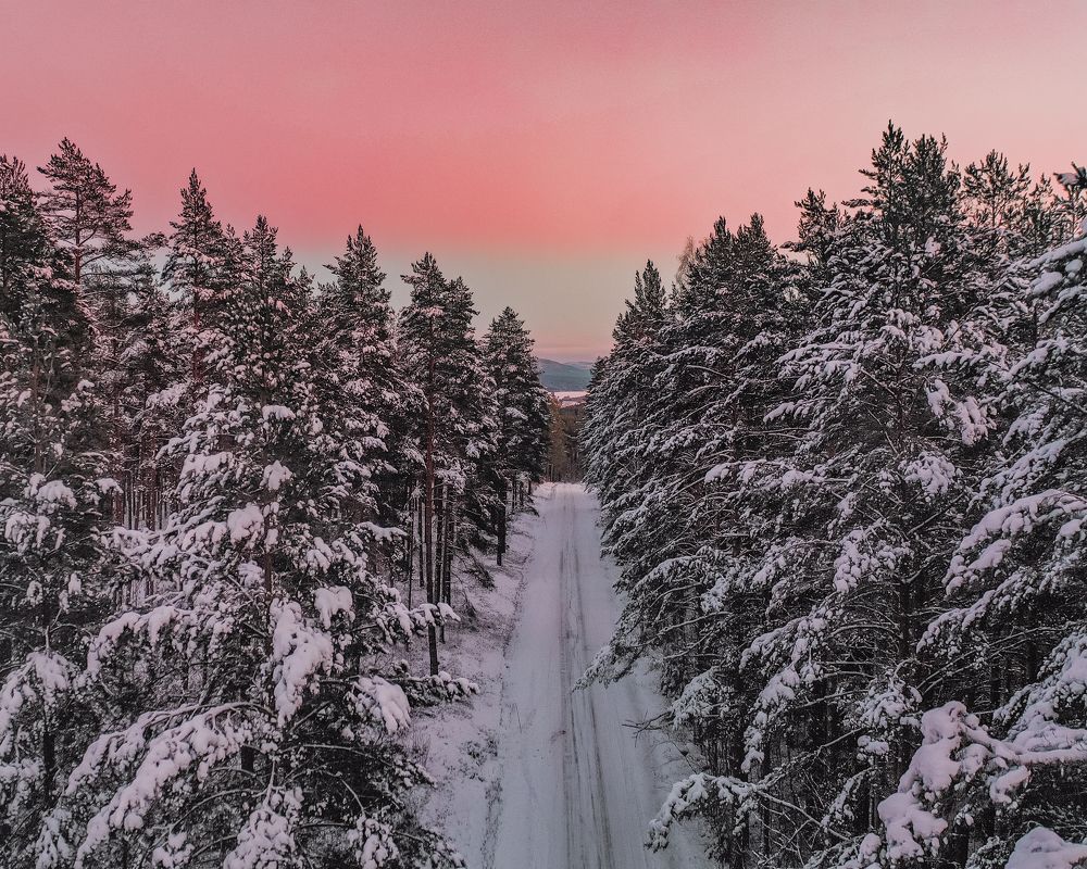 Photograph by Mohamad Ali