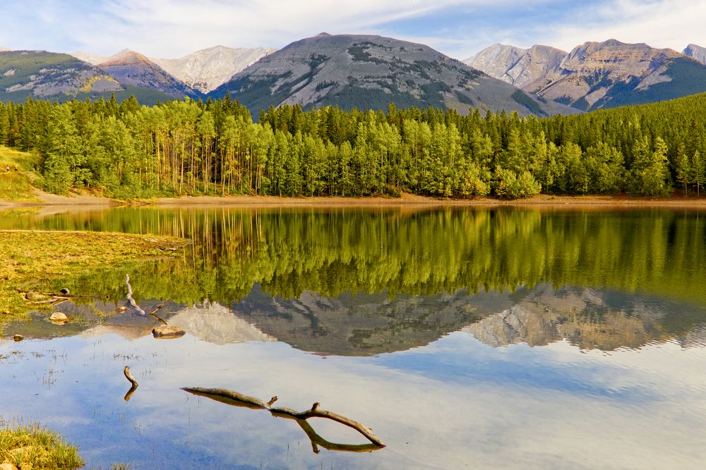 Photograph by Brian Adamson