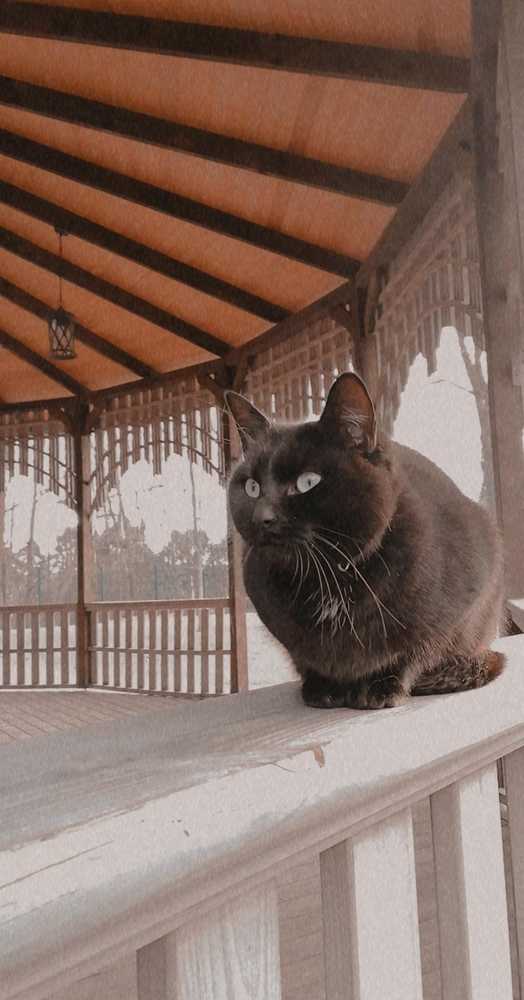 Photograph by Катерина Гордик