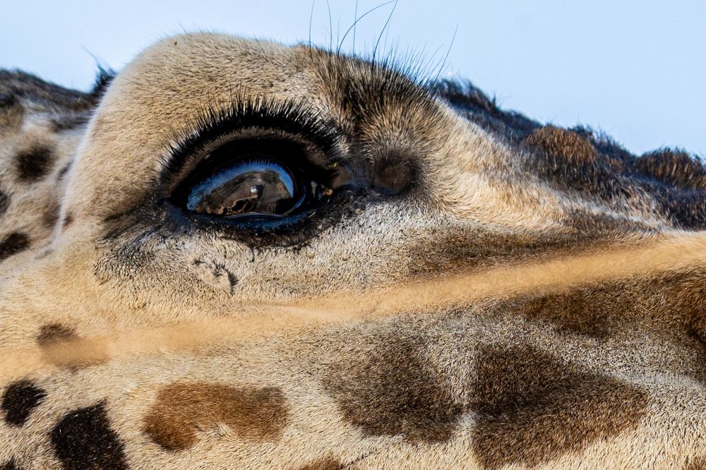 Photograph by Калинин Игорь