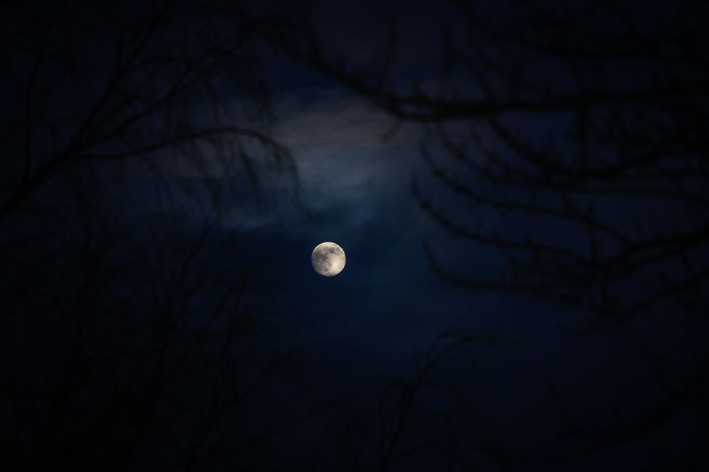 Photograph by Mohamad Ali